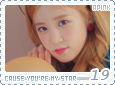 apink-causeyouremystar19