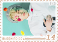 exo-bloomingday14
