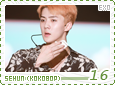 exo-kokobopsehun16