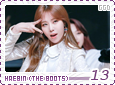 ggd-thebootshaebin13