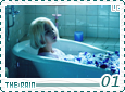 lc-therain01