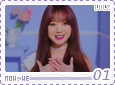lvlz-nowwe01