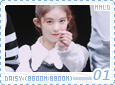 mmld-bboombboomdaisy01