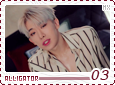 mx-alligator03