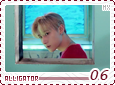 mx-alligator06