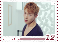 mx-alligator12
