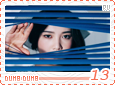 rv-dumbdumb13
