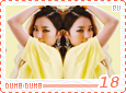 rv-dumbdumb18