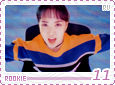 rv-rookie11