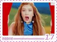 rv-rookie17