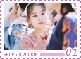 rv-rookieseulgi01
