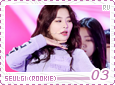 rv-rookieseulgi03