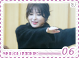 rv-rookieseulgi06