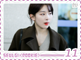 rv-rookieseulgi11