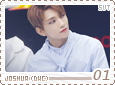svt-dontwannacryjoshua01
