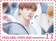 unb-feelingfeeldog11