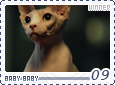 winner-babybaby09