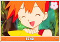 mc-Echo